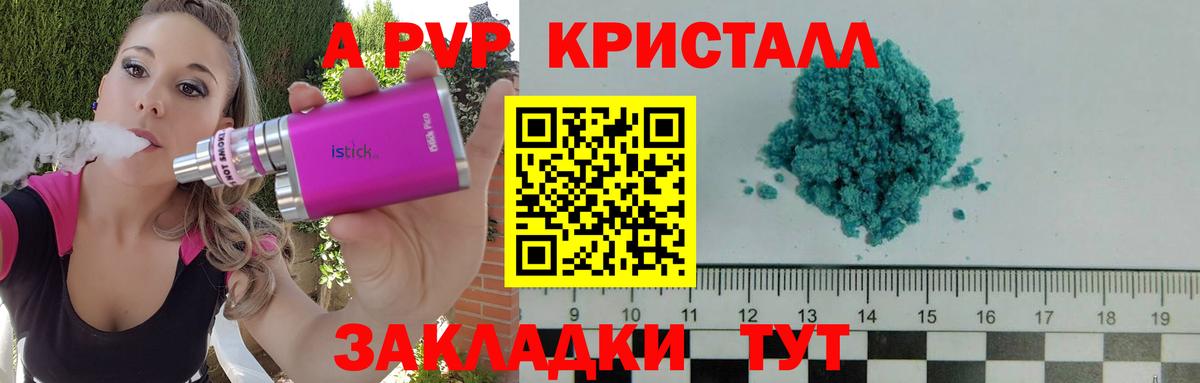 Альфа ПВП СК Дагестанские Огни