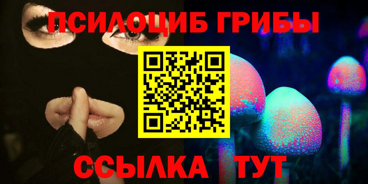 Псилоцибиновые грибы MAGIC MUSHROOMS  Вход с VPN  Дагестанские Огни 